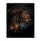 Stupell Industries Expressive Equine Horse in Harness Canvas, design by Lindsay Kivi Fine Art